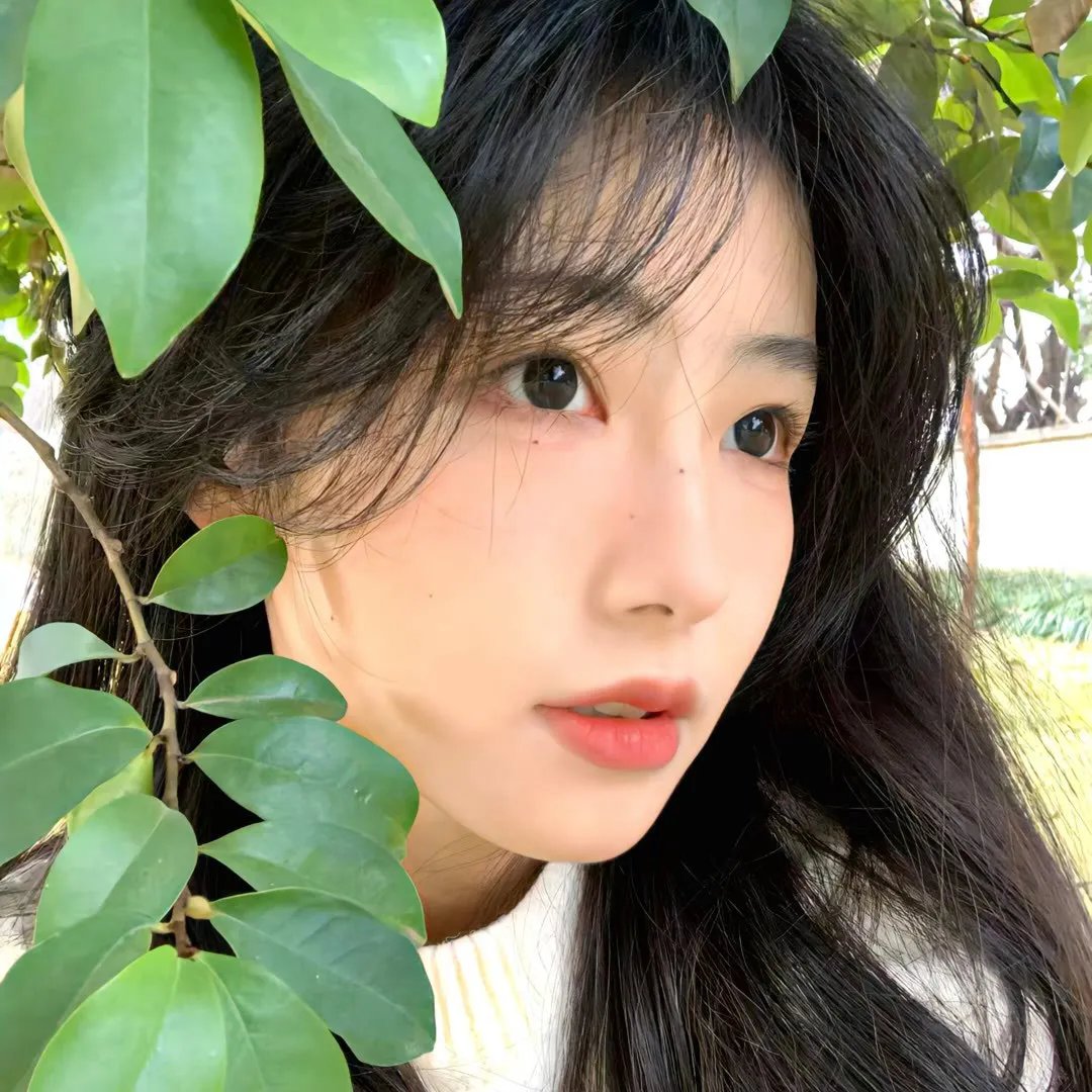 柔伊